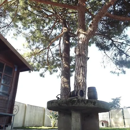 Nocleg ze śniadaniem Pegada Real Óbidos