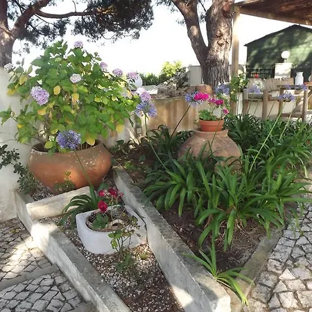 Pegada Real Bed & Breakfast *